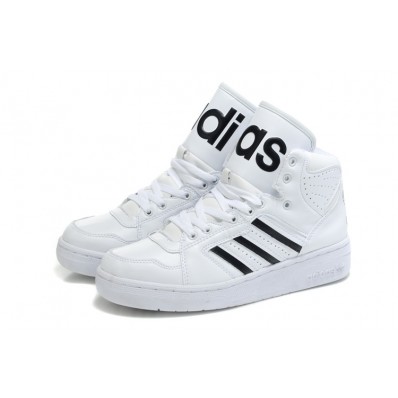 basket adidas montante homme