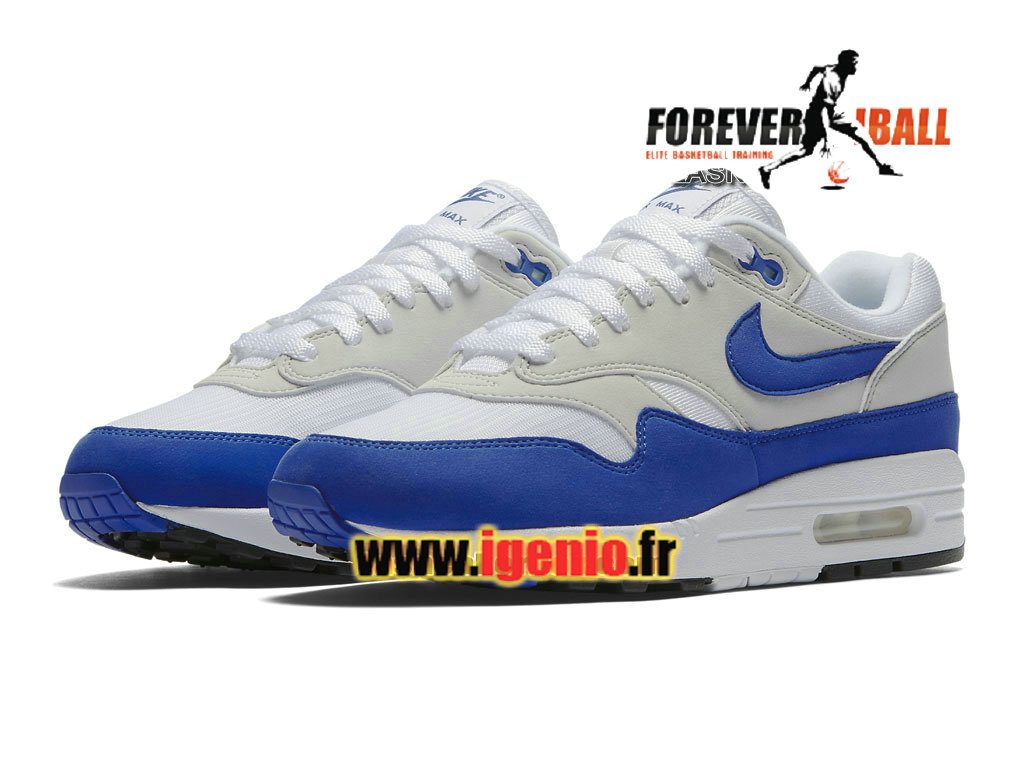 air max gris bleu