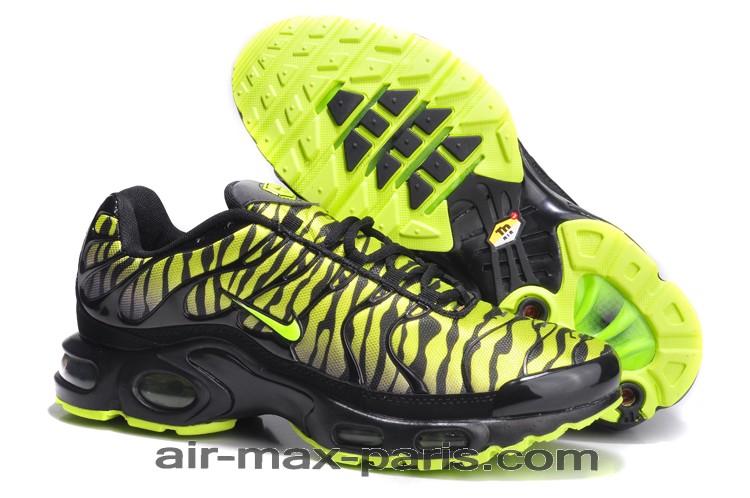 adidas requin pas cher adidas requin pas cher